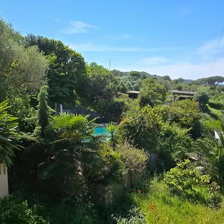 Cosy 300m De La Coti-Chiavari (Corsica)